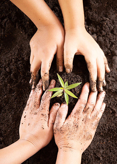 Stratégie Agri'VALFRANCE